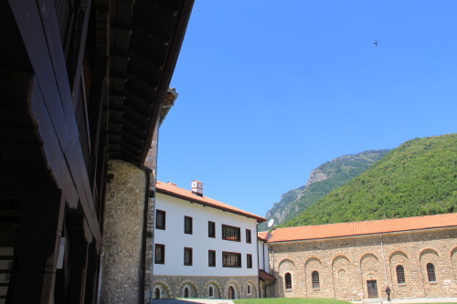 c0011649_00231036.jpg