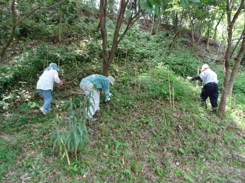 c0108460_01553500.jpg