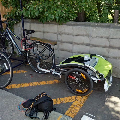 自転車トレーラー、使ってます!_d0197762_15440106.jpg