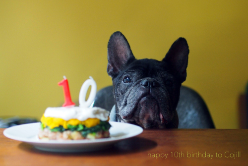 happy10th birthday to Cojill_e0243765_09170415.jpg