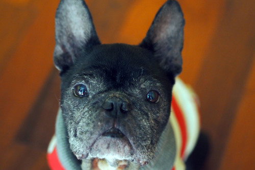 happy10th birthday to Cojill_e0243765_09174054.jpg
