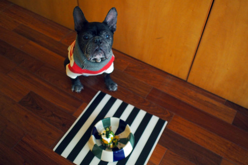 happy10th birthday to Cojill_e0243765_09175060.jpg