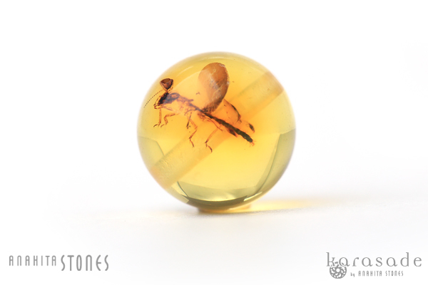 虫入り琥珀ビーズ（バルト海産） : 石の音