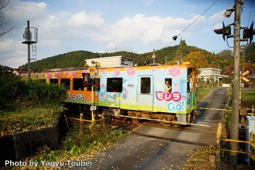 オールドレンズの旅　Minolta AF24-105 F3.5-4.5_b0132475_20250423.jpg