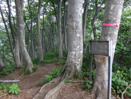 日本海から白馬岳へ①～栂海小屋まで～_d0182075_06560879.jpg