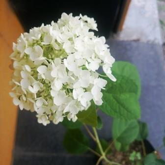 f0215475_13522782.jpeg