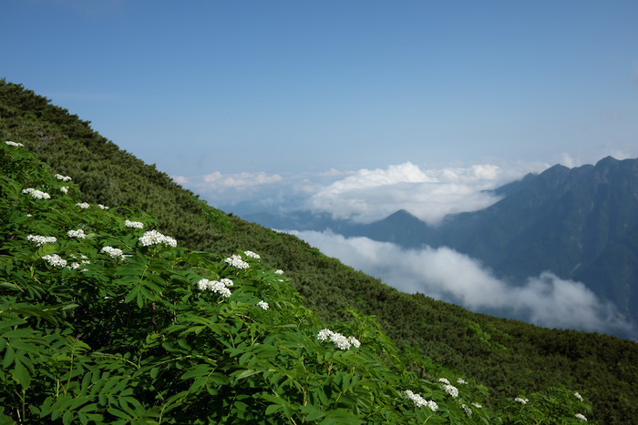 b0339488_22091406.jpg