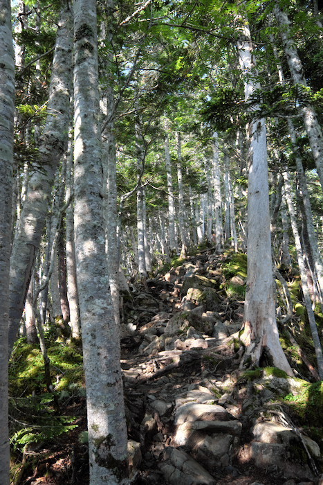 b0339488_22091421.jpg