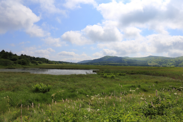 d0354901_16071900.jpg