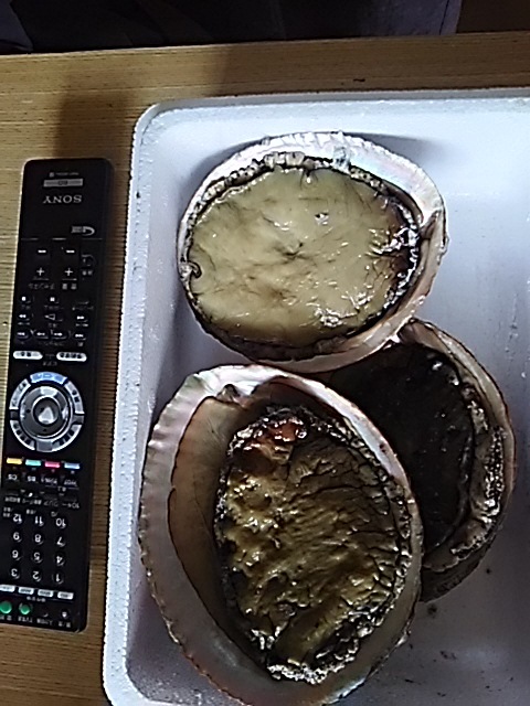 f0316507_13121159.jpg