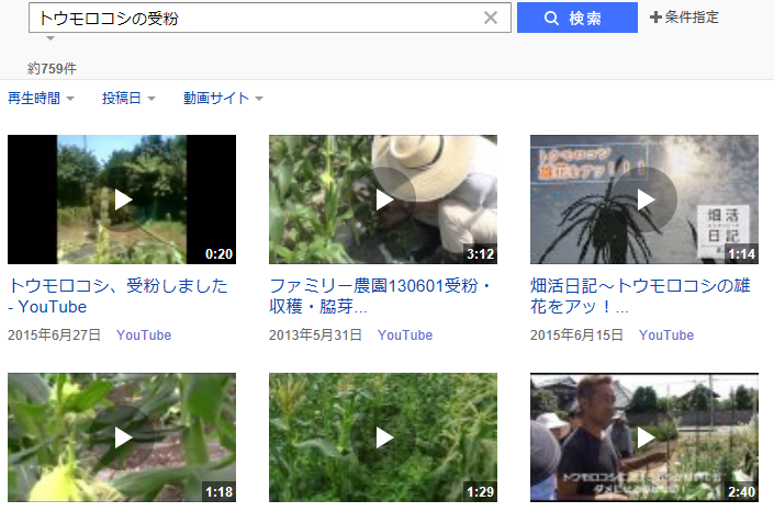 f0231709_20011998.png