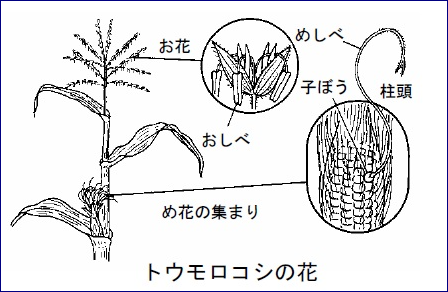 f0231709_20293645.png