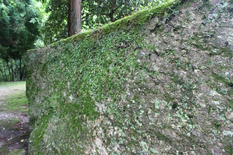 気持ち的に_b0220318_05140618.jpg