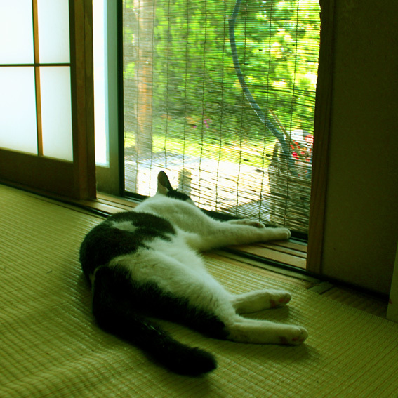 a0329820_10492072.jpg