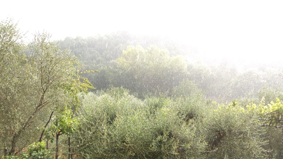 恵みの雨、イタリア ペルージャ_f0234936_19322586.jpg