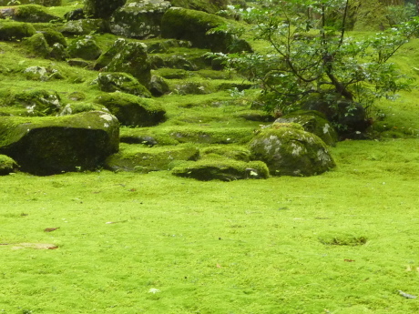 「白山」登山中止して永平寺等の見学旅行に_c0218841_17080712.jpg