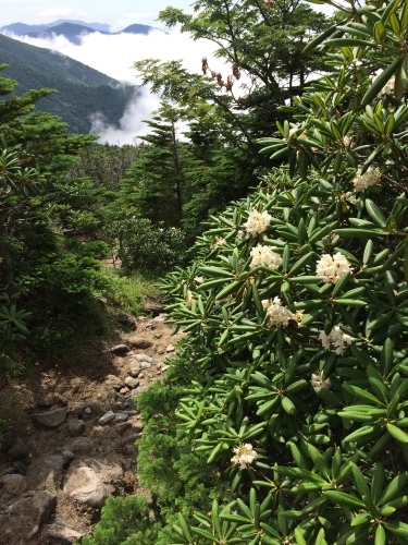 雁坂峠へ_c0369344_11063776.jpg