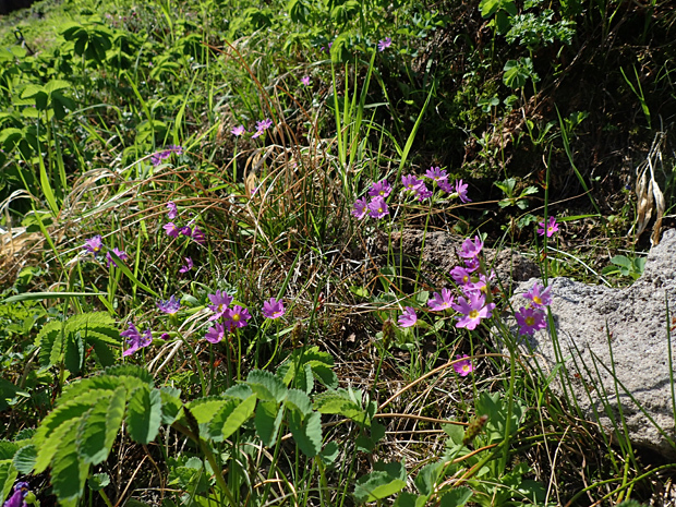 f0214649_04275770.jpg