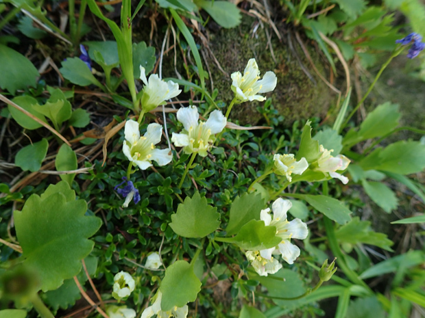 f0214649_04375844.jpg