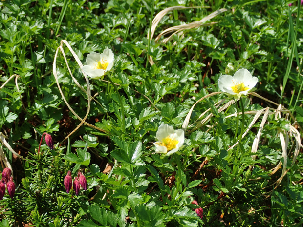 f0214649_04375910.jpg
