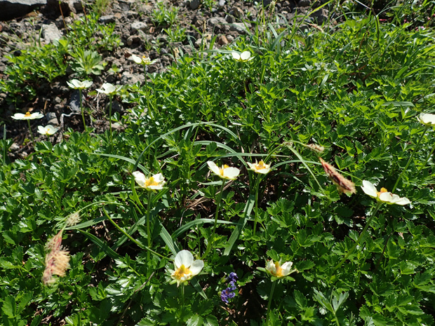 f0214649_04461753.jpg