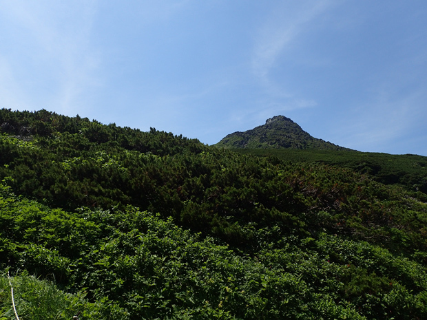 f0214649_04501219.jpg