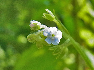 f0083977_06280559.jpg
