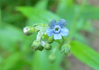 f0083977_06285665.jpg