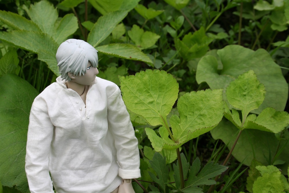 ギンコさん またしても食べ物を探す ギンコさん ここにいます ギンコさん またしても食べ物を探す ギンコさん ここにいます