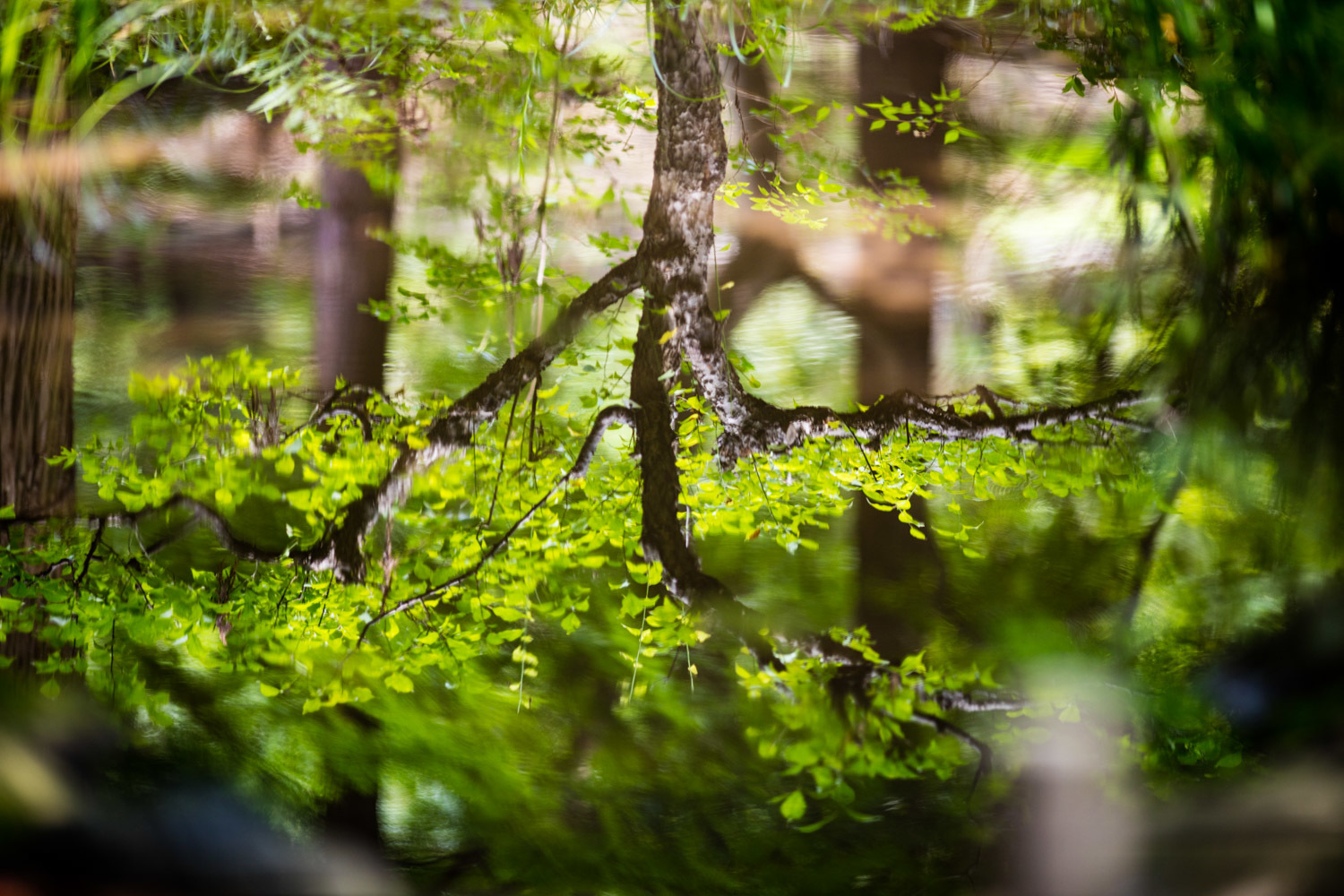 東山動植物園_b0126495_21025555.jpg