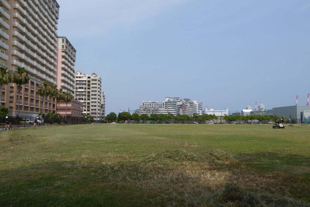 日陰道・芝生広場草刈り・浜木綿・向日葵・葉鶏頭・小玉西瓜_d0261298_124571.jpg