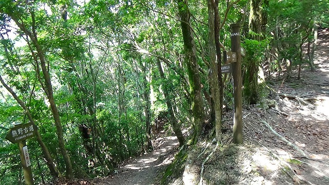 d0360104_00222401.jpg