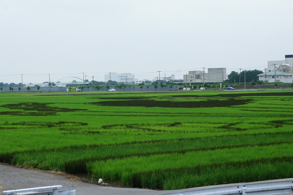 b0112909_19465276.jpg