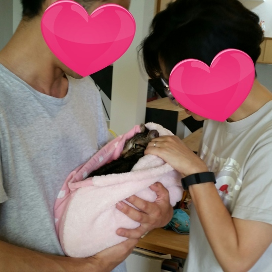 e0144012_12041984.jpeg