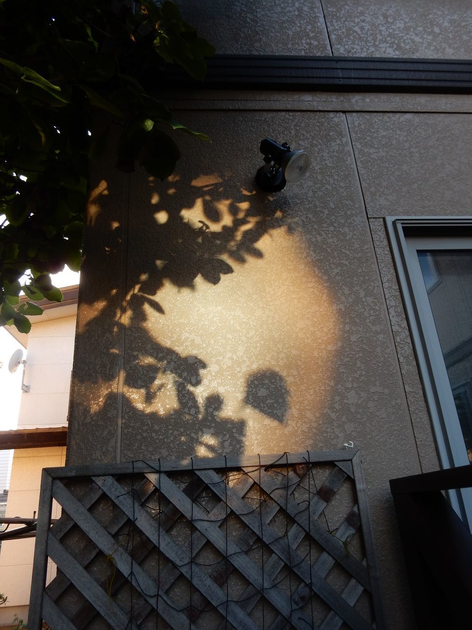 夏日ならもう暑くない_c0025115_20383264.jpg