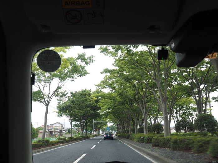 「ベタ踏み坂」(江島大橋)と緑の街路樹_c0116915_23583772.jpg