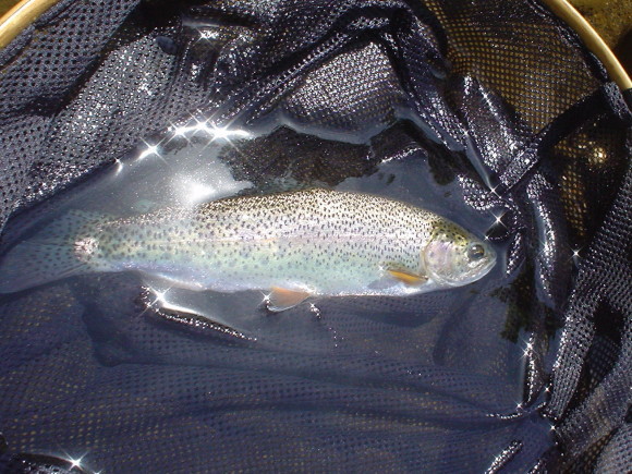 f0280717_14302834.jpg