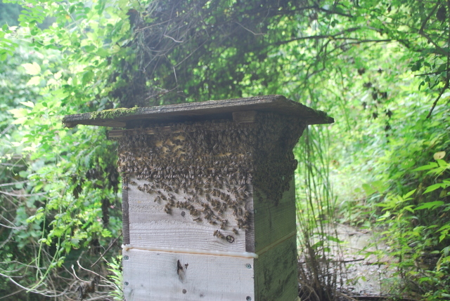 f0176521_08343047.jpg