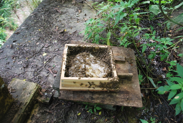 f0176521_08351441.jpg