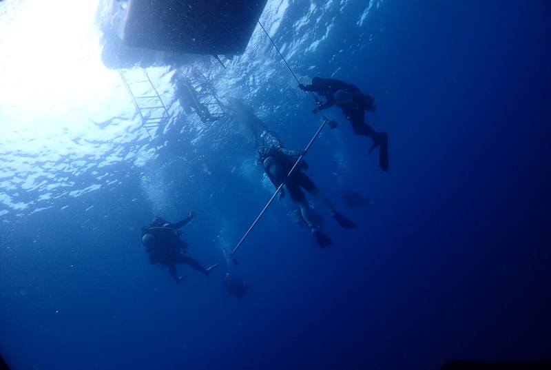 ７月２６日(水)　水温28℃～29℃　透明度ざっくり20ｍオーバーです！　ショウガセ・南部出し_d0259022_18011769.jpg