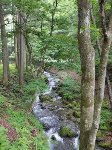 梅雨休みCAMP　～最終日～_f0289824_12083316.jpg