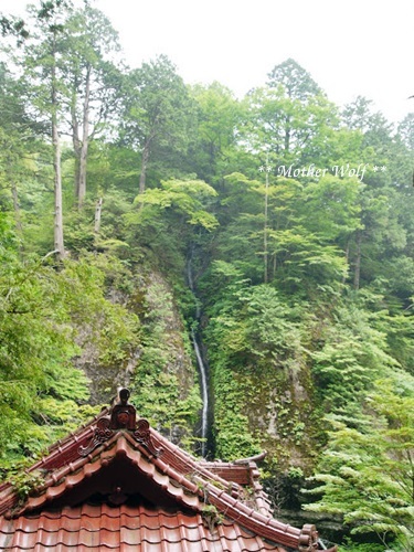 梅雨休みCAMP　～最終日～_f0289824_16103130.jpg