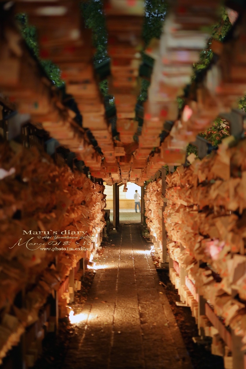 まゝに/雨上がりの散策・川越/氷川神社/3_d0342426_01241148.jpg