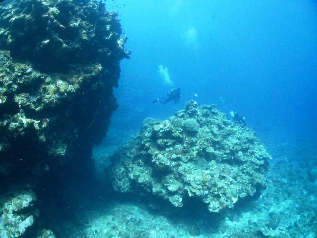 西表島遠征~(*^^*)_a0189838_06142391.jpg