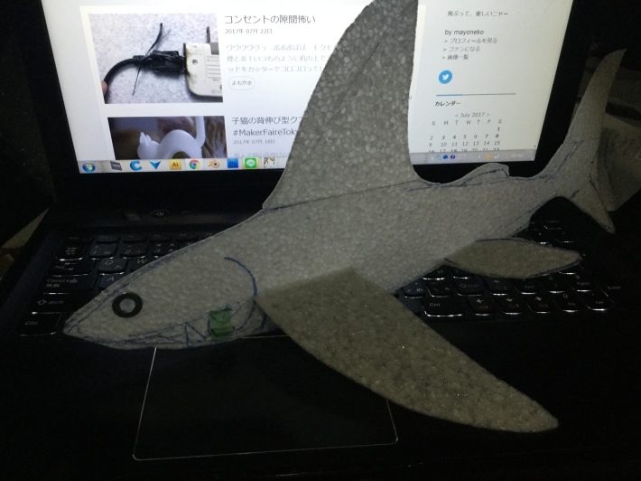 次回飛行会は７月３０日です_d0067943_20474407.jpg