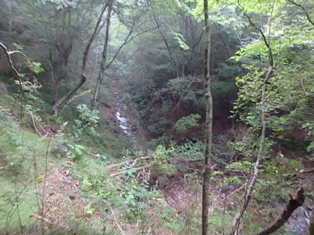 f0334143_1903428.jpg
