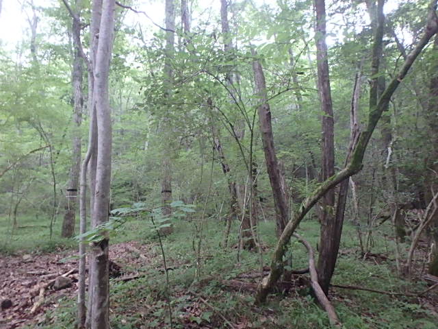 f0334143_19151100.jpg