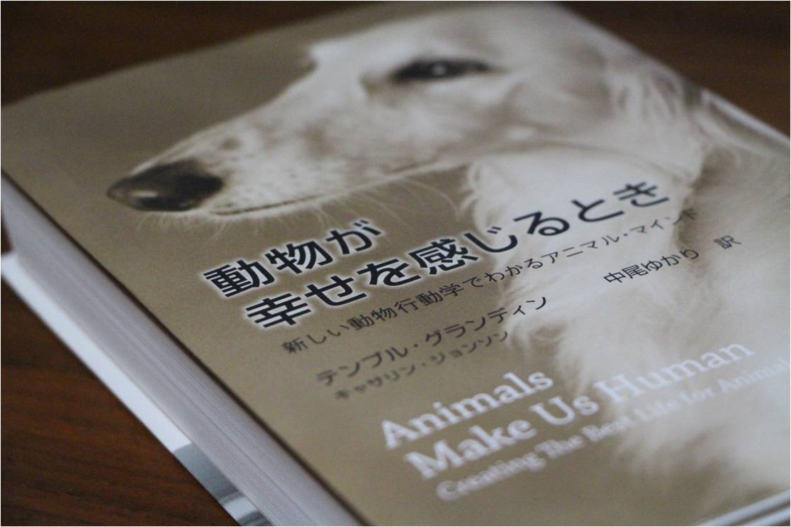 動物が幸せを感じるとき きゃんログ あたしはキャンディ 動物が幸せを感じるとき きゃんログ あたしはキャンディ