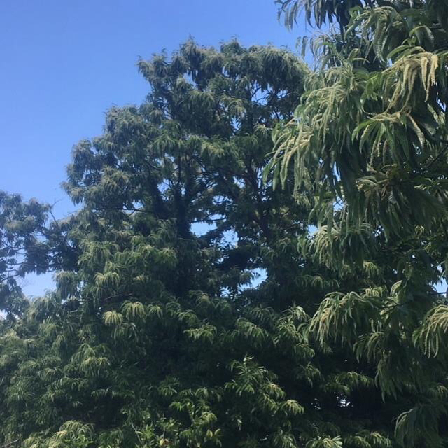 f0222248_11170719.jpg