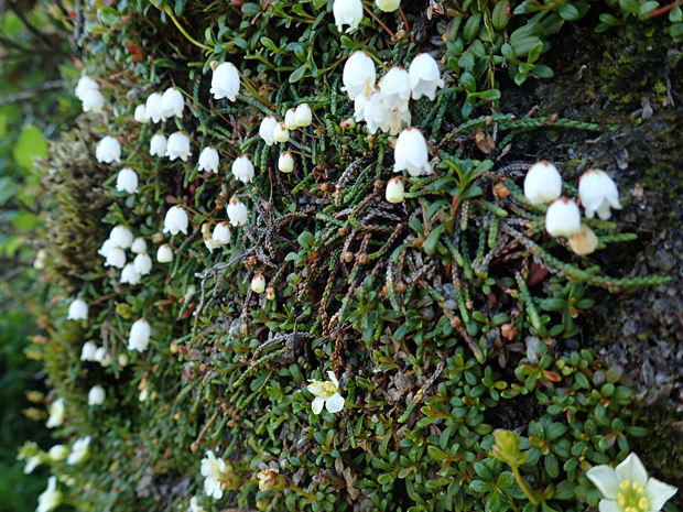 f0214649_04585762.jpg